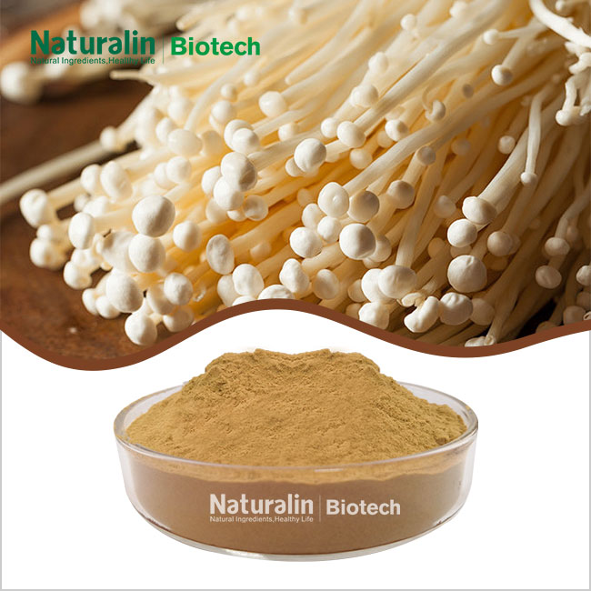 Enokitake Mushroom Extract Enokitake Mushroom Extract